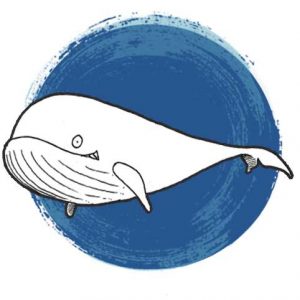 Bummsi der fliegende Wal